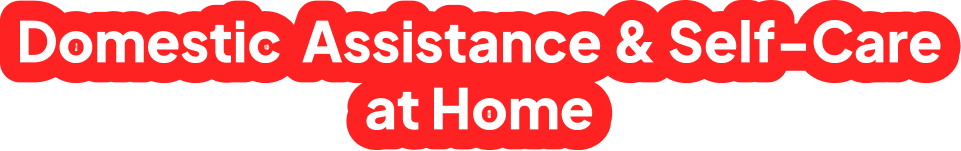 domestic assistance self care at home